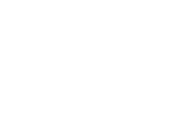 The Only Group Logo